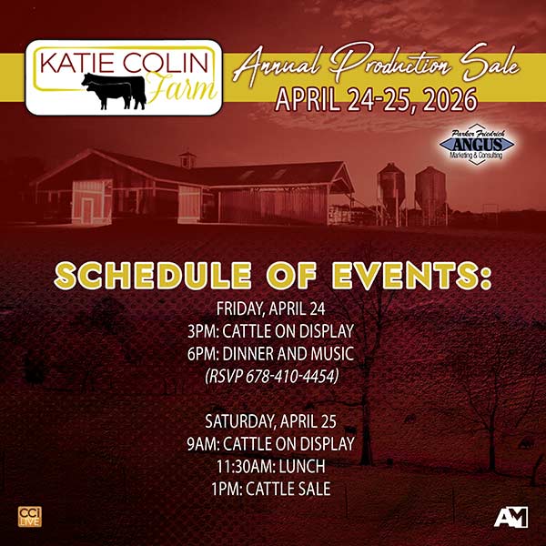 Spring Angus Production Sale Ad